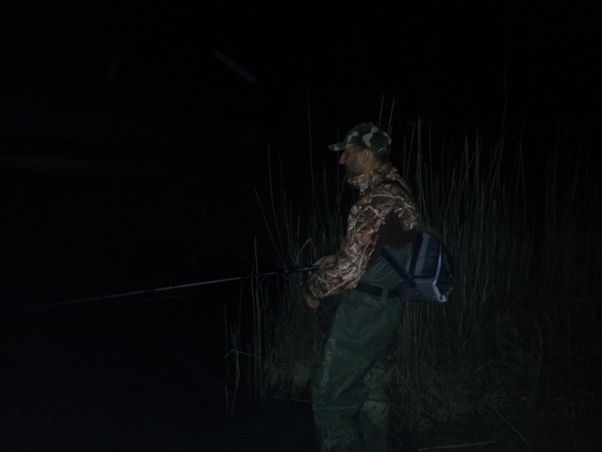 RAPITOR - 20131212205233.jpg